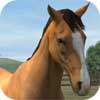 My Horse iPhone